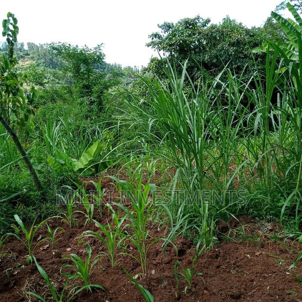 5 Acres of Land on Sale at Maragua - main view