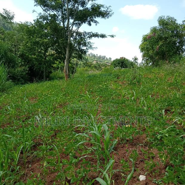 5 Acres of Land on Sale at Maragua - thumbnail 10