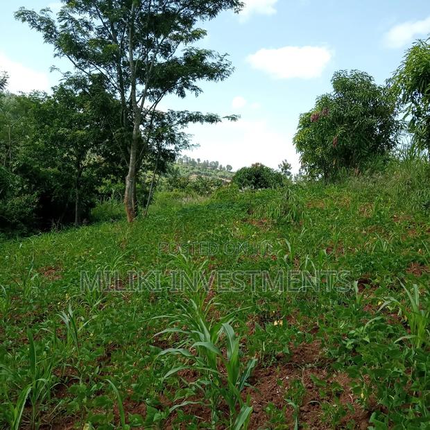 5 Acres of Land on Sale at Maragua - thumbnail 12