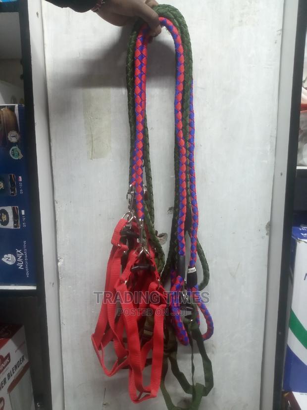 Dog Harnesses and Leashes