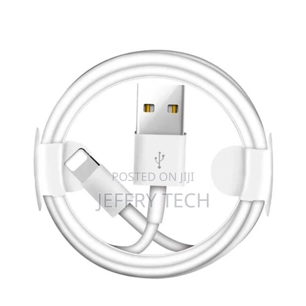 1M USB Data Charging Cable for iPhone 6S 6 7 8 Plus 11 Pro X - thumbnail 2