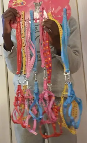 New Arrival Puppy's Leashes