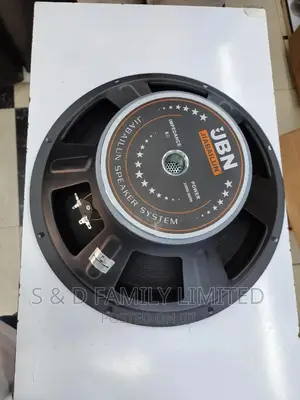JBN 15 Inch Naked Speaker