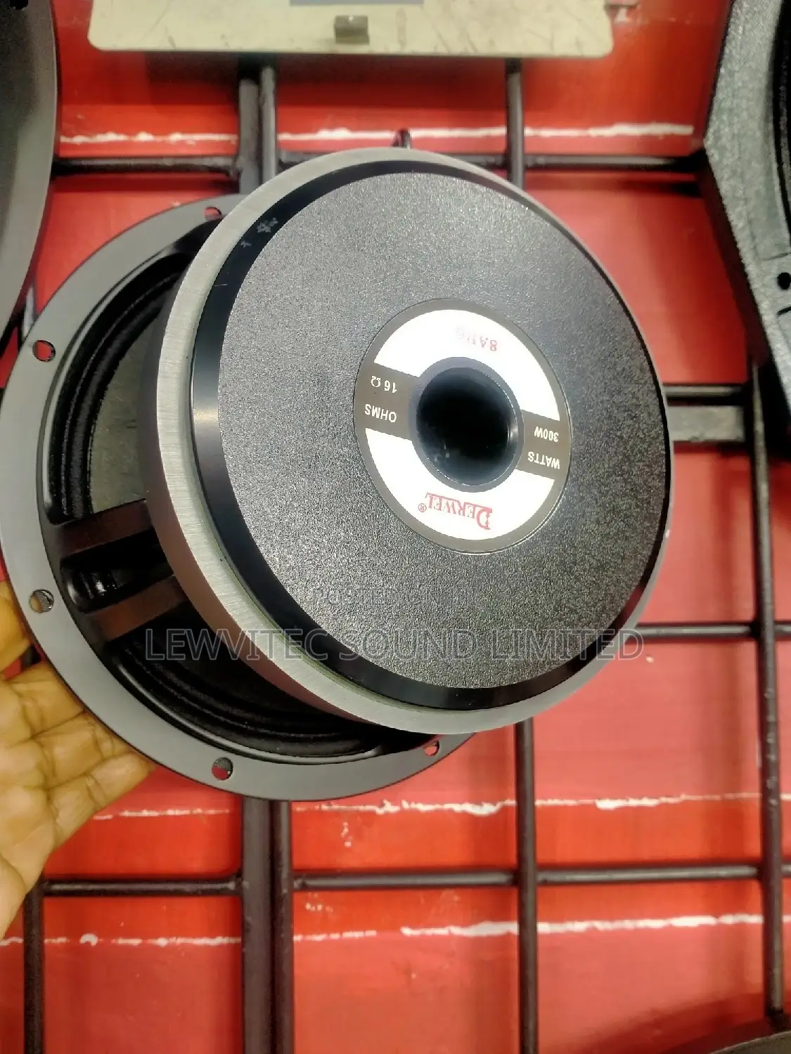 Derwell 8 Inch Naked Speaker