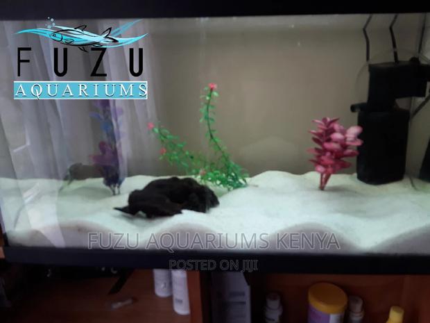 White Sand for Aquarium - main view