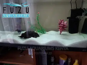 White Sand for Aquarium