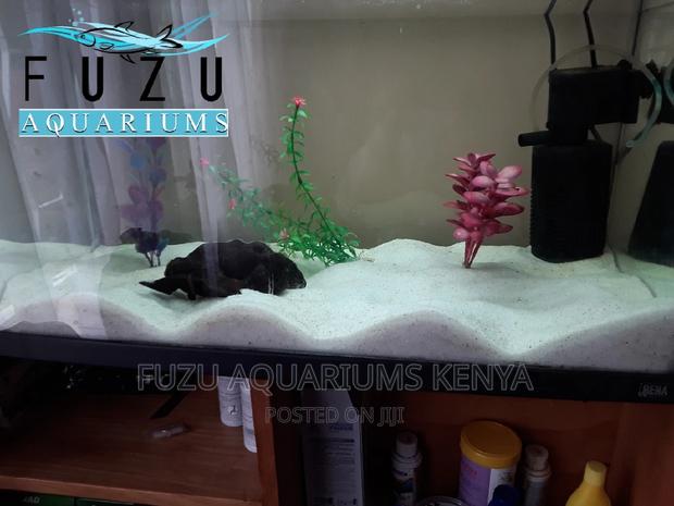 White Sand for Aquarium - thumbnail 4