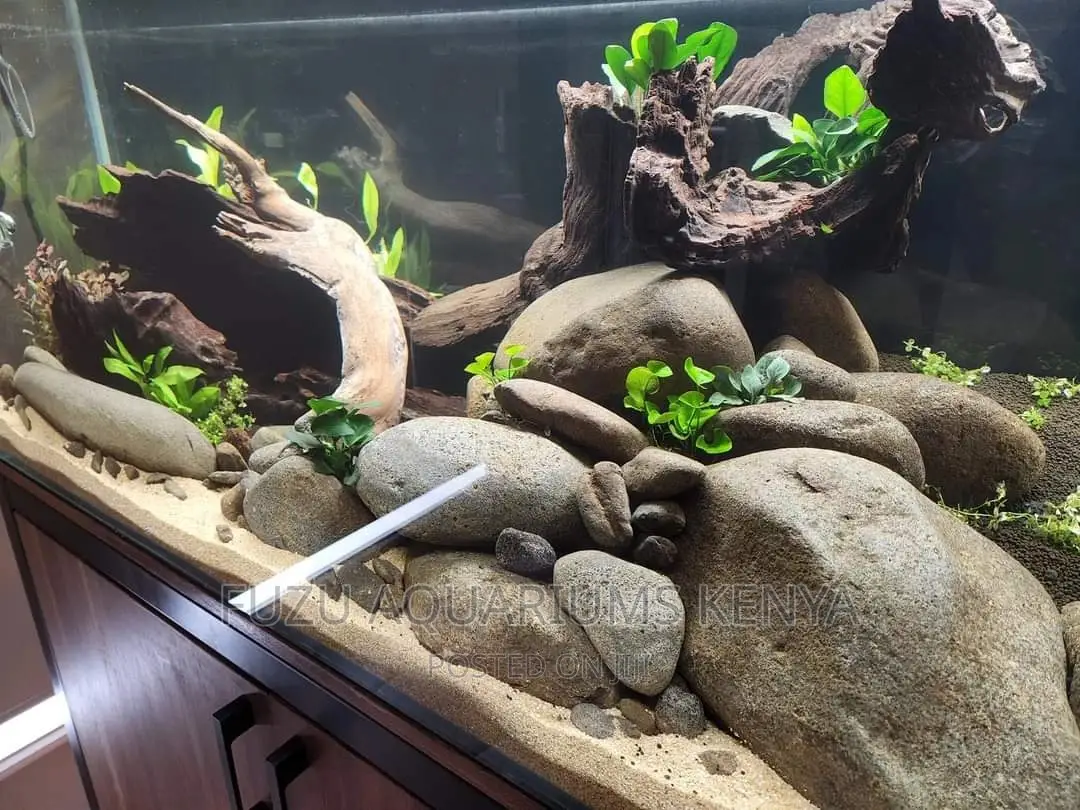 Aquarium Rocks and Aquascaping
