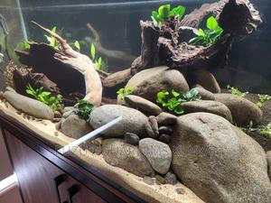 Aquarium Rocks and Aquascaping - thumbnail 2
