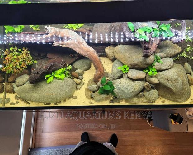 Aquarium Rocks and Aquascaping - thumbnail 4