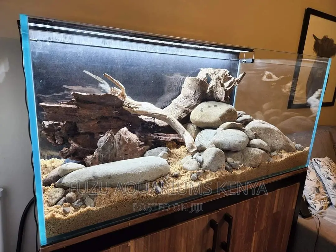 Aquarium Rocks and Aquascaping