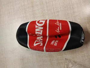 Spalding Basketball Size 7-toronto Raptors