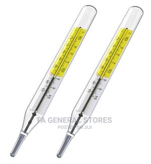 Mercury Thermometer - thumbnail 2