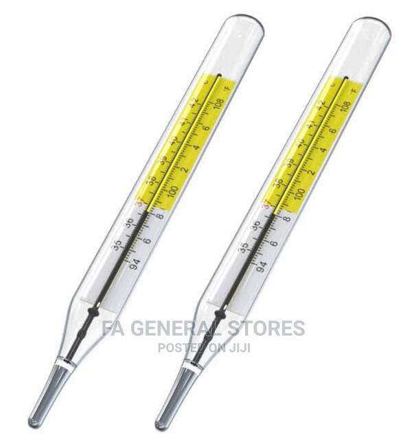 Mercury Thermometer - main view