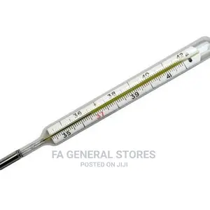 Mercury Thermometer