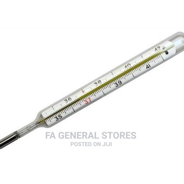 Mercury Thermometer - thumbnail 3