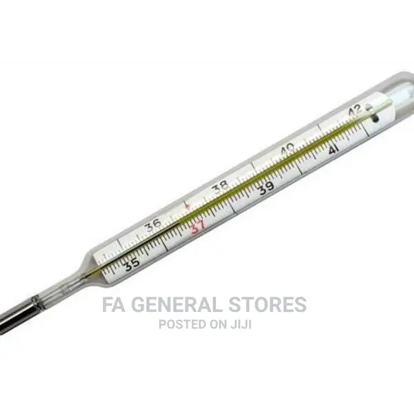Mercury Thermometer