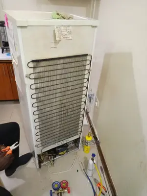 Fridge Repair Service