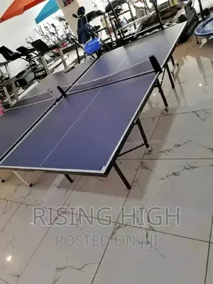 The Best of the Best Quality Table Tennis