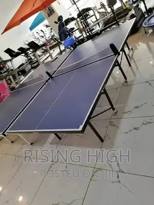 Unique Top Quality Table Tennis