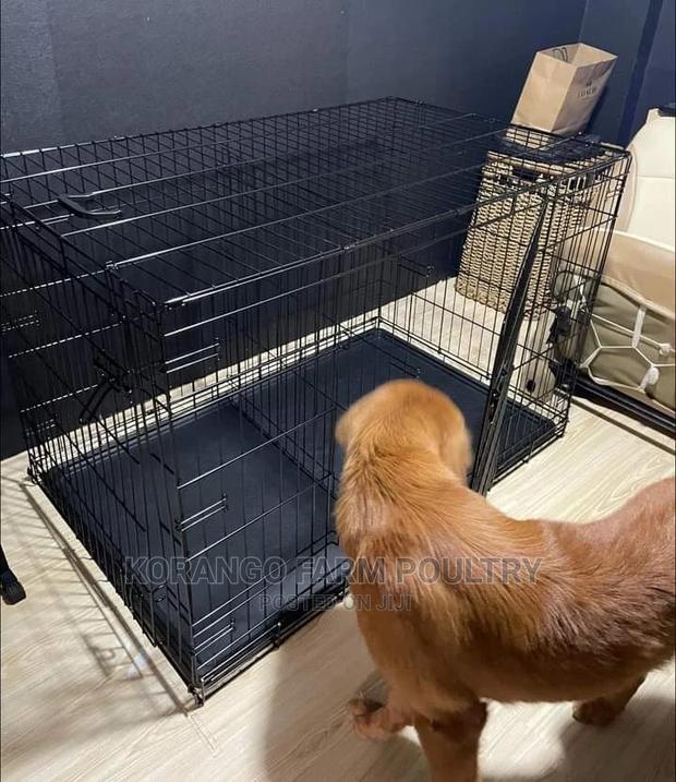 Metallic Dog Cages - main view