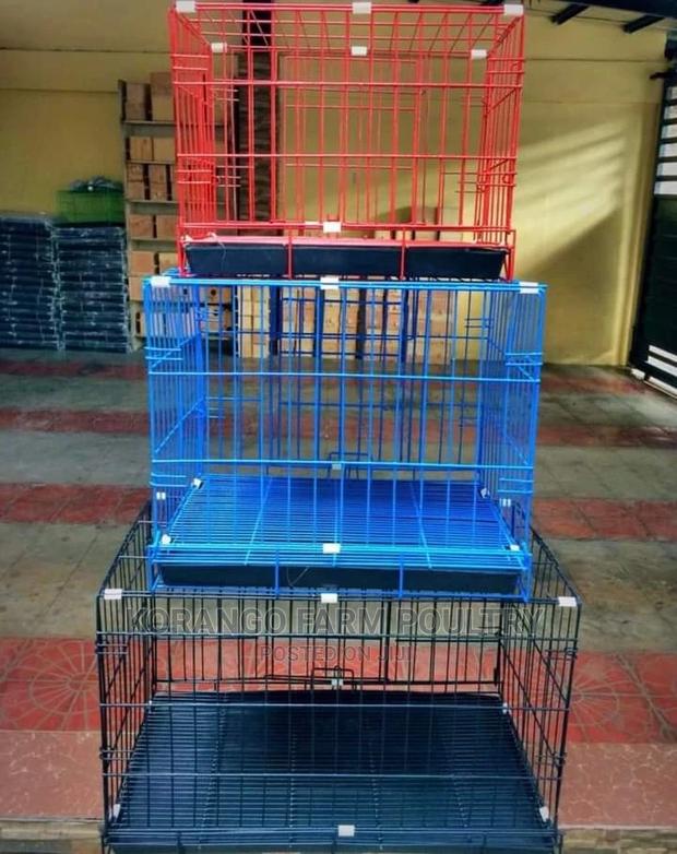 Pets Crates - main view