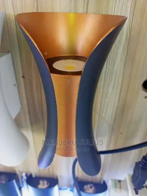 Wall Light