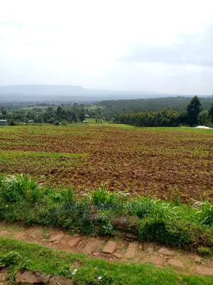 14 Acres Land for Sale
