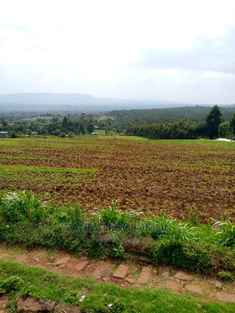 14 Acres Land for Sale