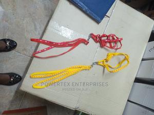 Chiwawa Dog Leash - main view