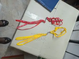 Chiwawa Dog Leash