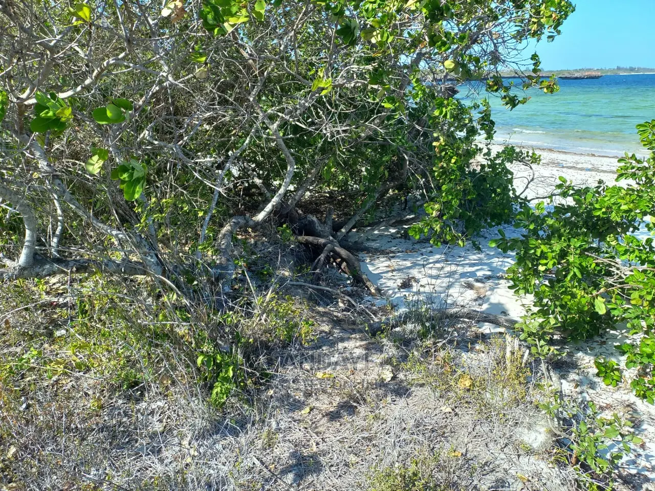 Beach Plots for Sale - Matsangoni