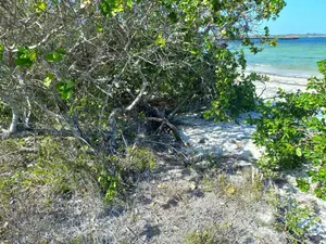 Beach Plots for Sale - Matsangoni