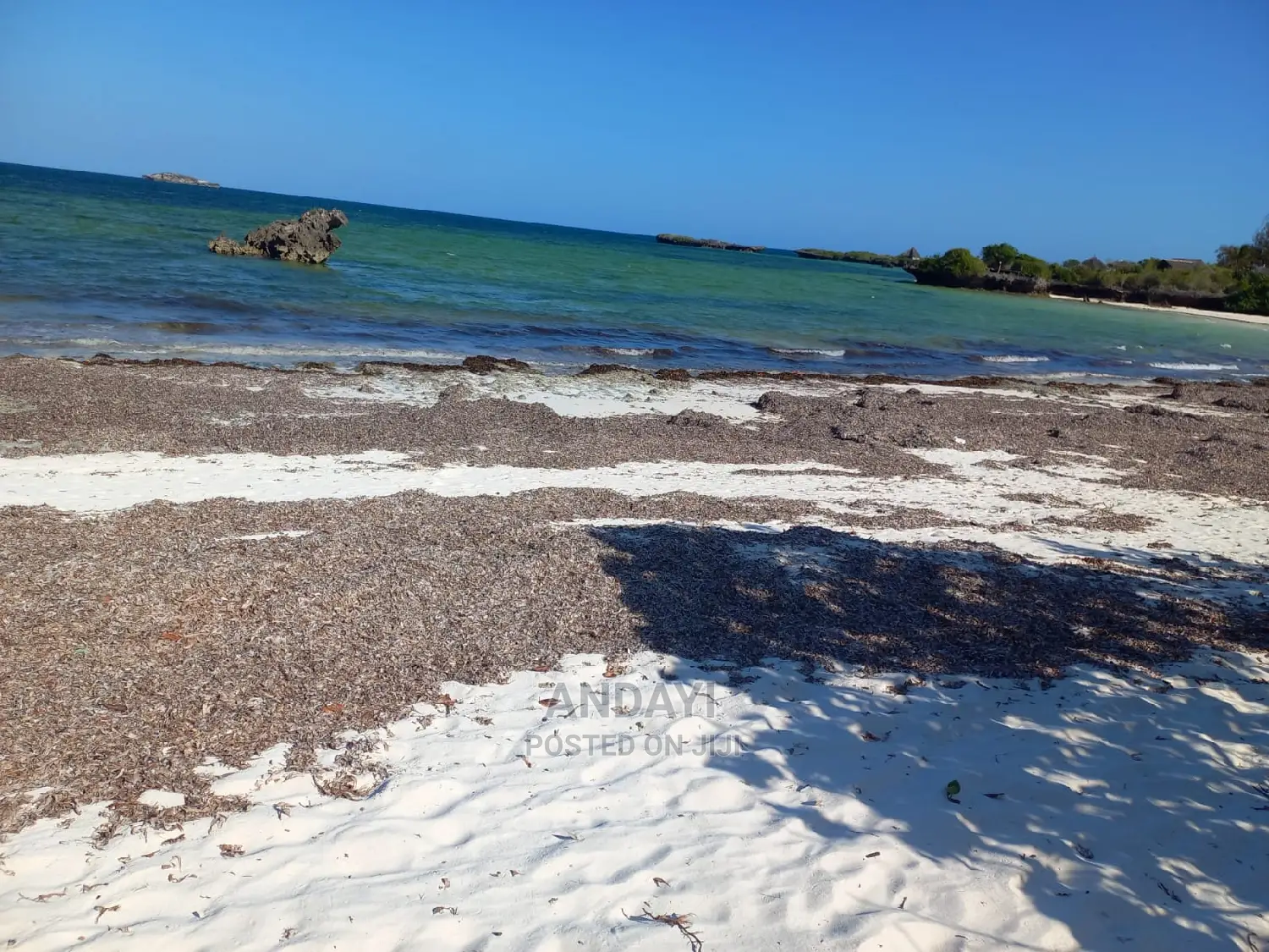 Beach Plots for Sale - Matsangoni
