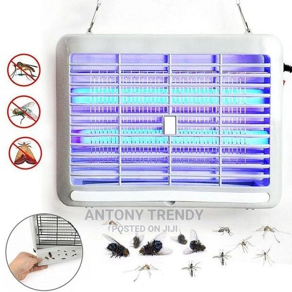 Mosquito, Bug, Fly With Powerful Grid 20W Bulbs.