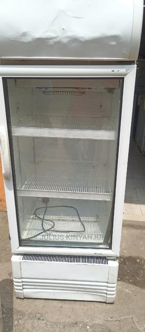 Display Fridge 250L - main view