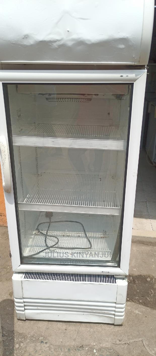 Display Fridge 250L