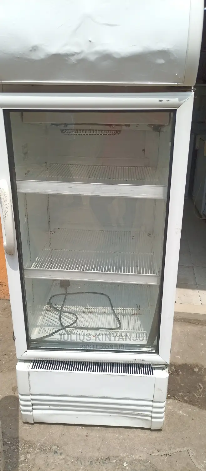 Display Fridge 250L