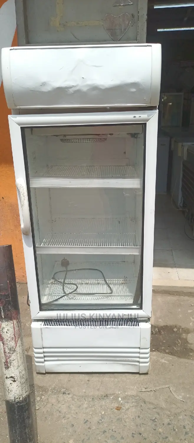 Display Fridge 250L