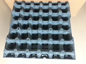 Plastic Egg Trays