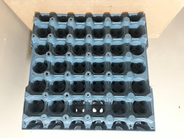 Plastic Egg Trays - main view