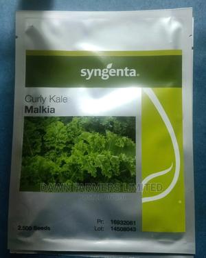 MALKIA F1 (Curly Kale) - main view