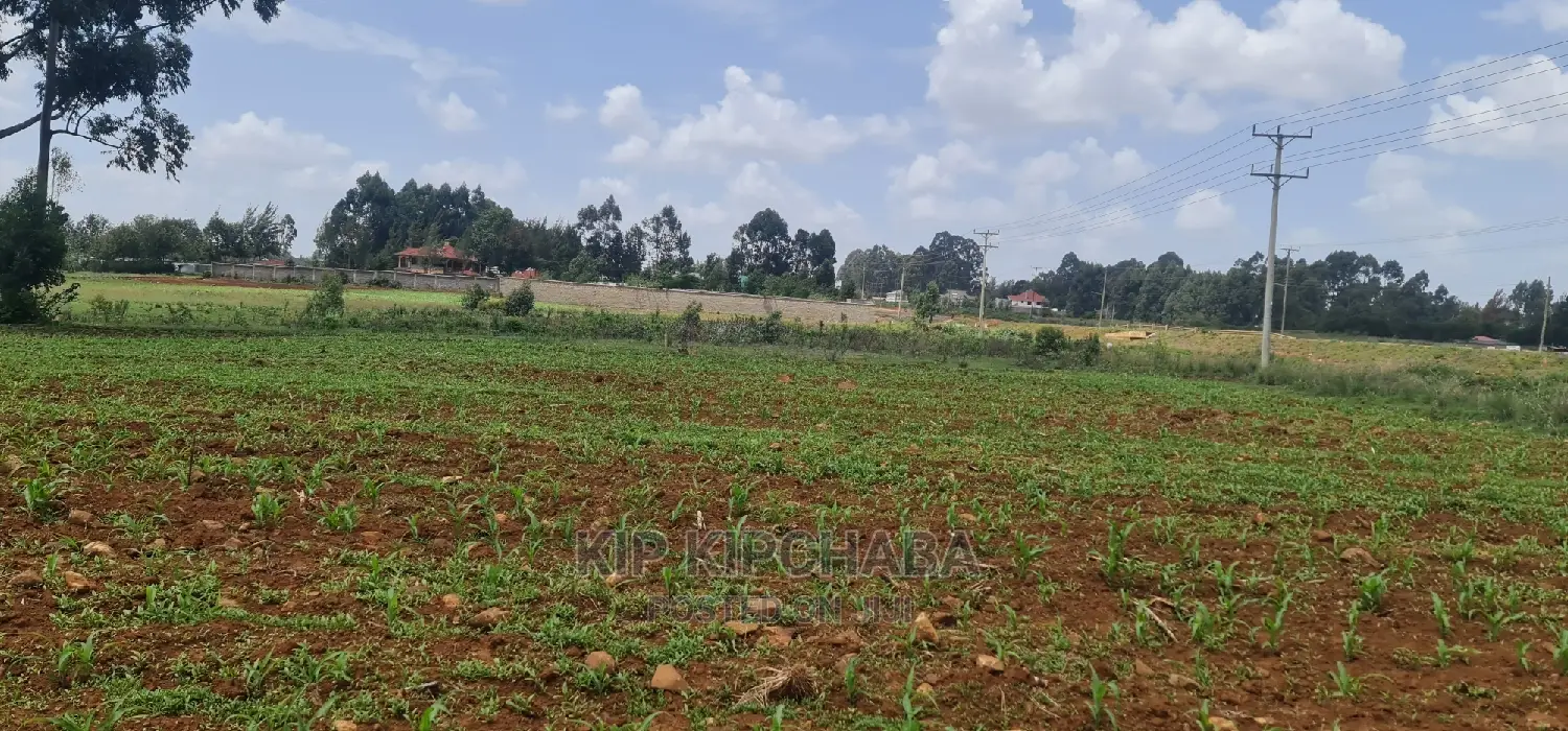 1 Acre Land for Sale in Elgonview Eldoret