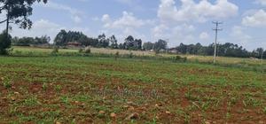 1 Acre Land for Sale in Elgonview Eldoret - thumbnail 2