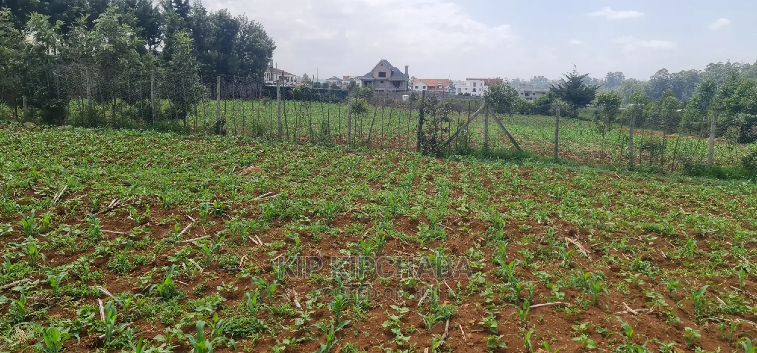 1 Acre Land for Sale in Elgonview Eldoret