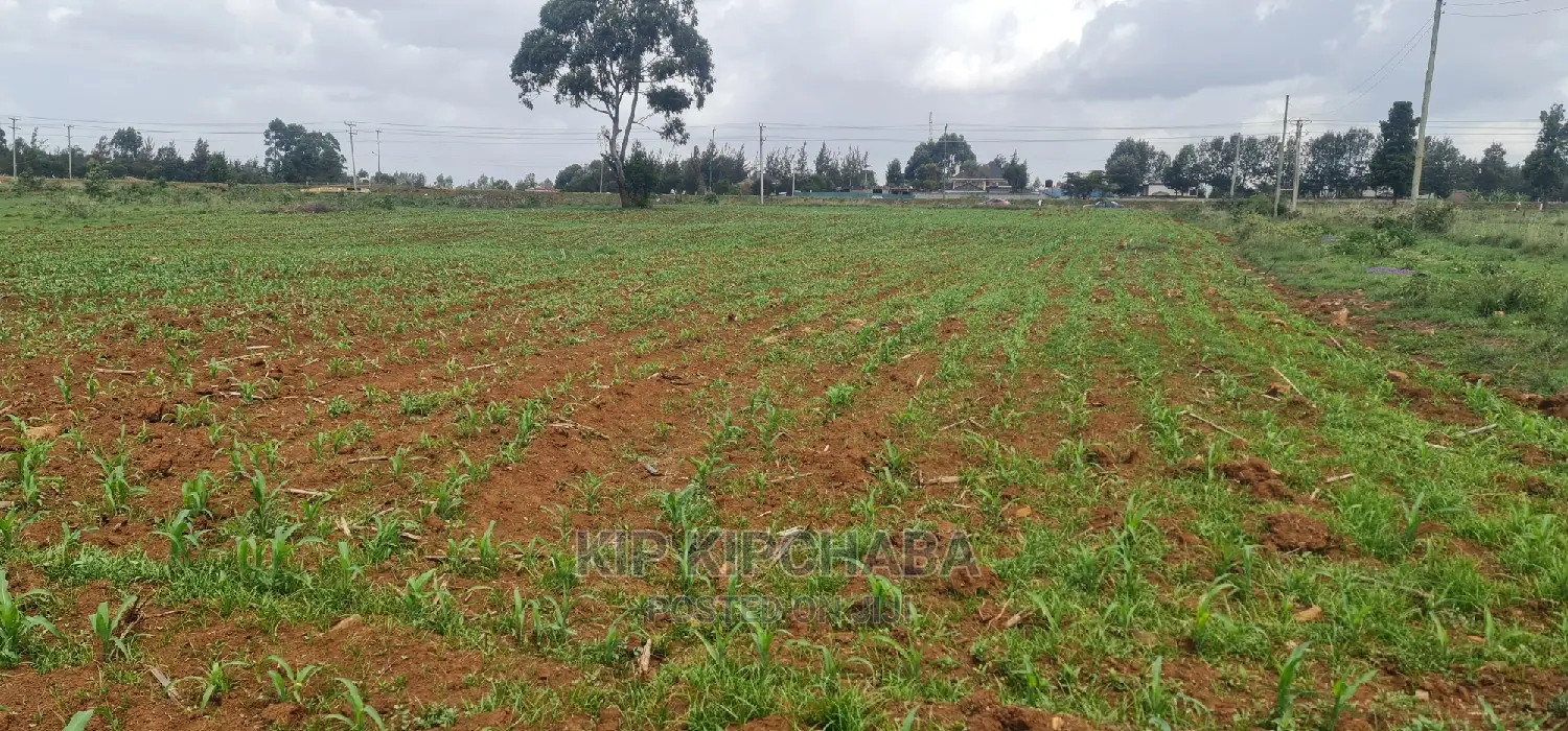 1 Acre Land for Sale in Elgonview Eldoret