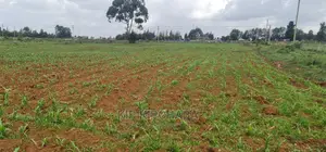 1 Acre Land for Sale in Elgonview Eldoret