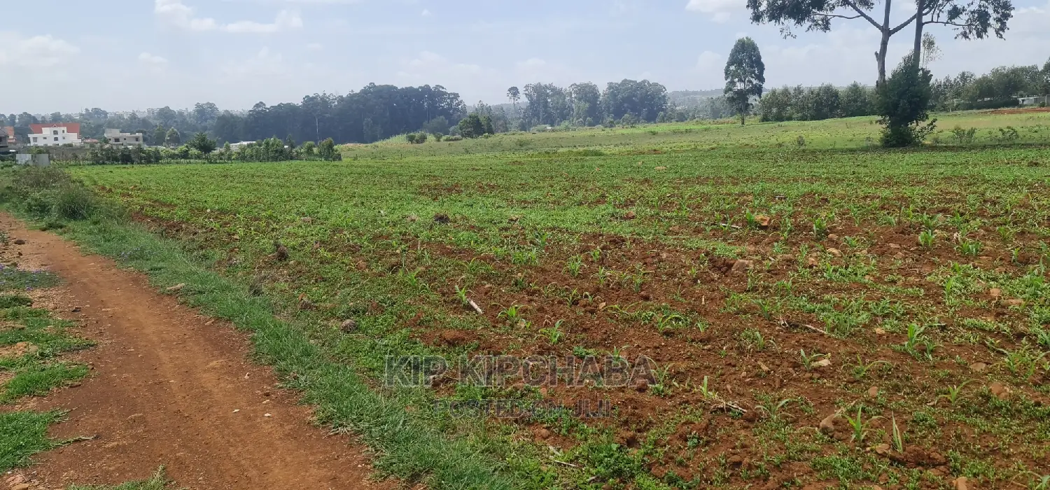 1 Acre Land for Sale in Elgonview Eldoret