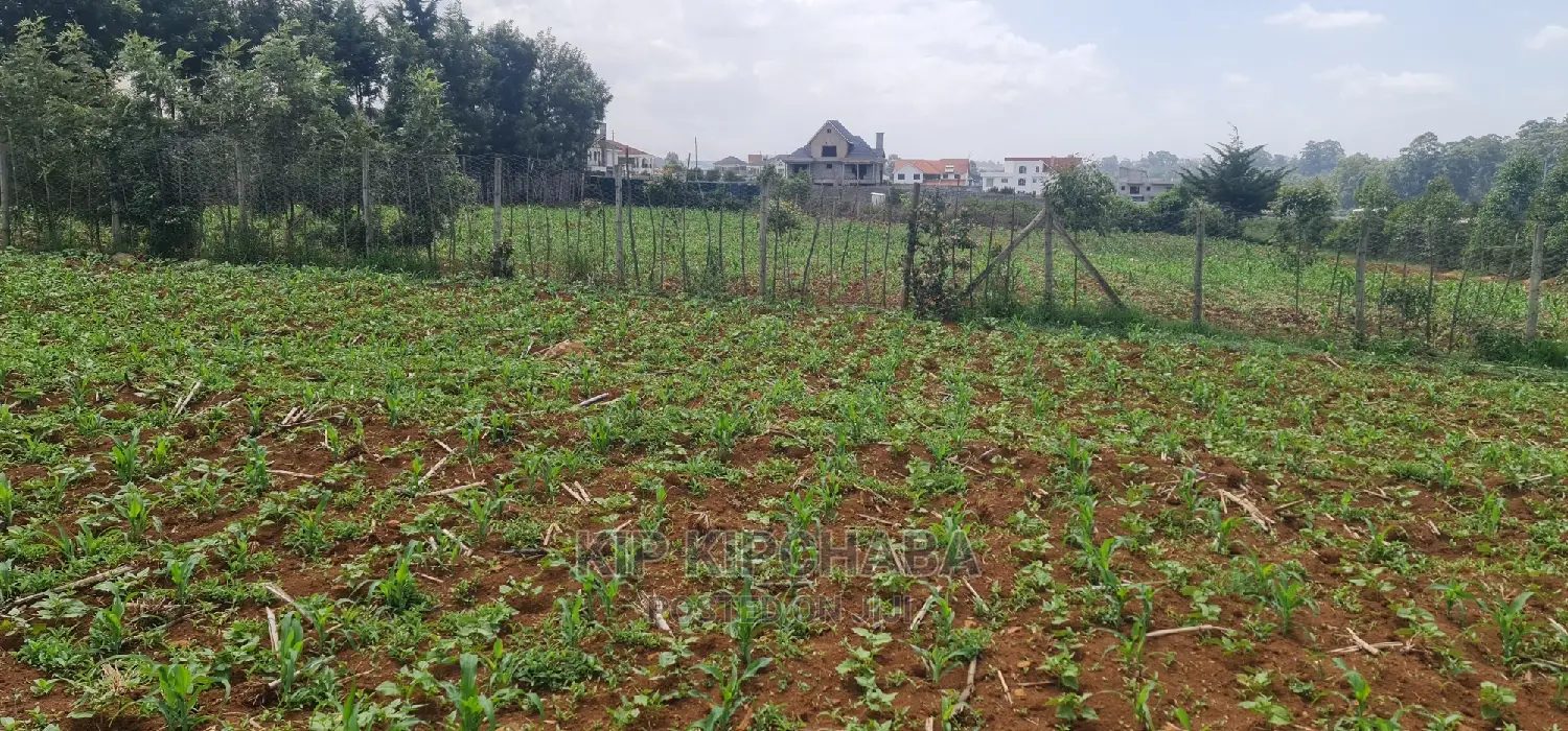1 Acre Land for Sale in Elgonview Eldoret