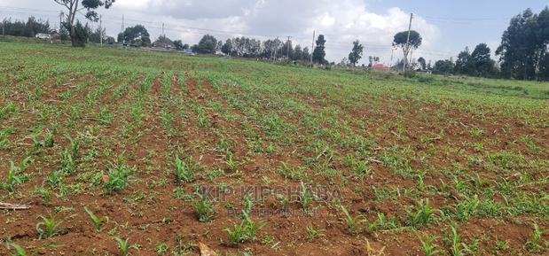 1 Acre Land for Sale in Elgonview Eldoret - thumbnail 8
